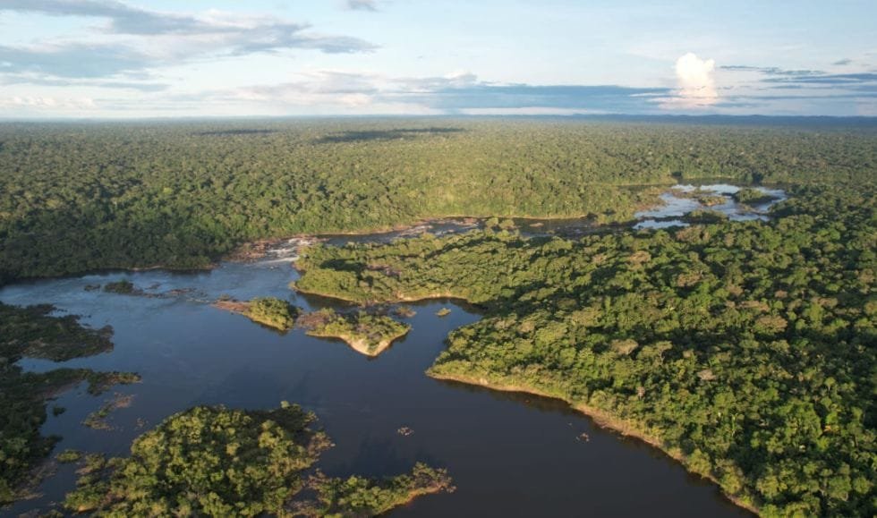 O Novo Pré Sal Verde! A nova comodites será a conservação da Biodiversidade!