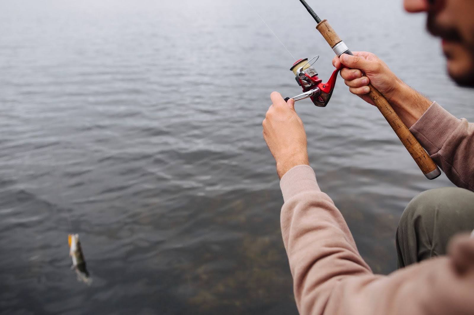 A Pesca Esportiva no Brasil: Dicas e Equipamentos Essenciais para uma Experiência Inesquecível