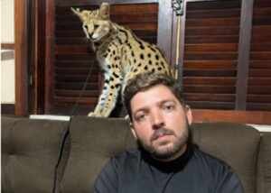 Russo, o Melhor Adestrador do Brasil, Faz História ao Domar Felinos Selvagens