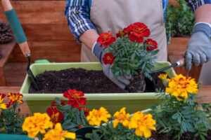 A Importância das Coroas de Flores nas Cerimônias de Despedida