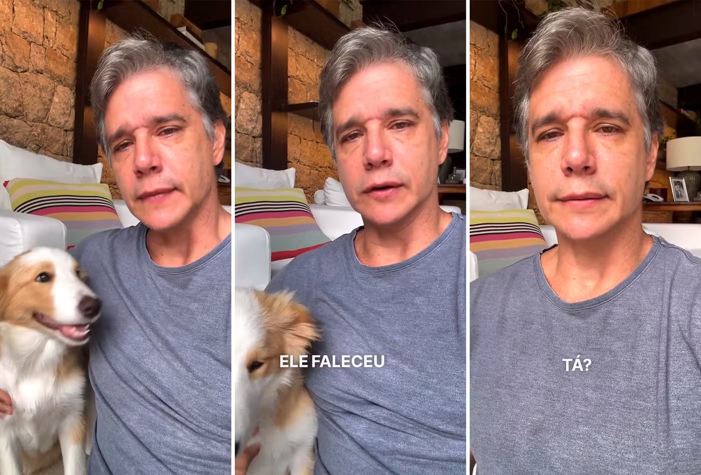 Márcio Garcia anuncia morte do cão Dogo e se emociona ao falar de despedida