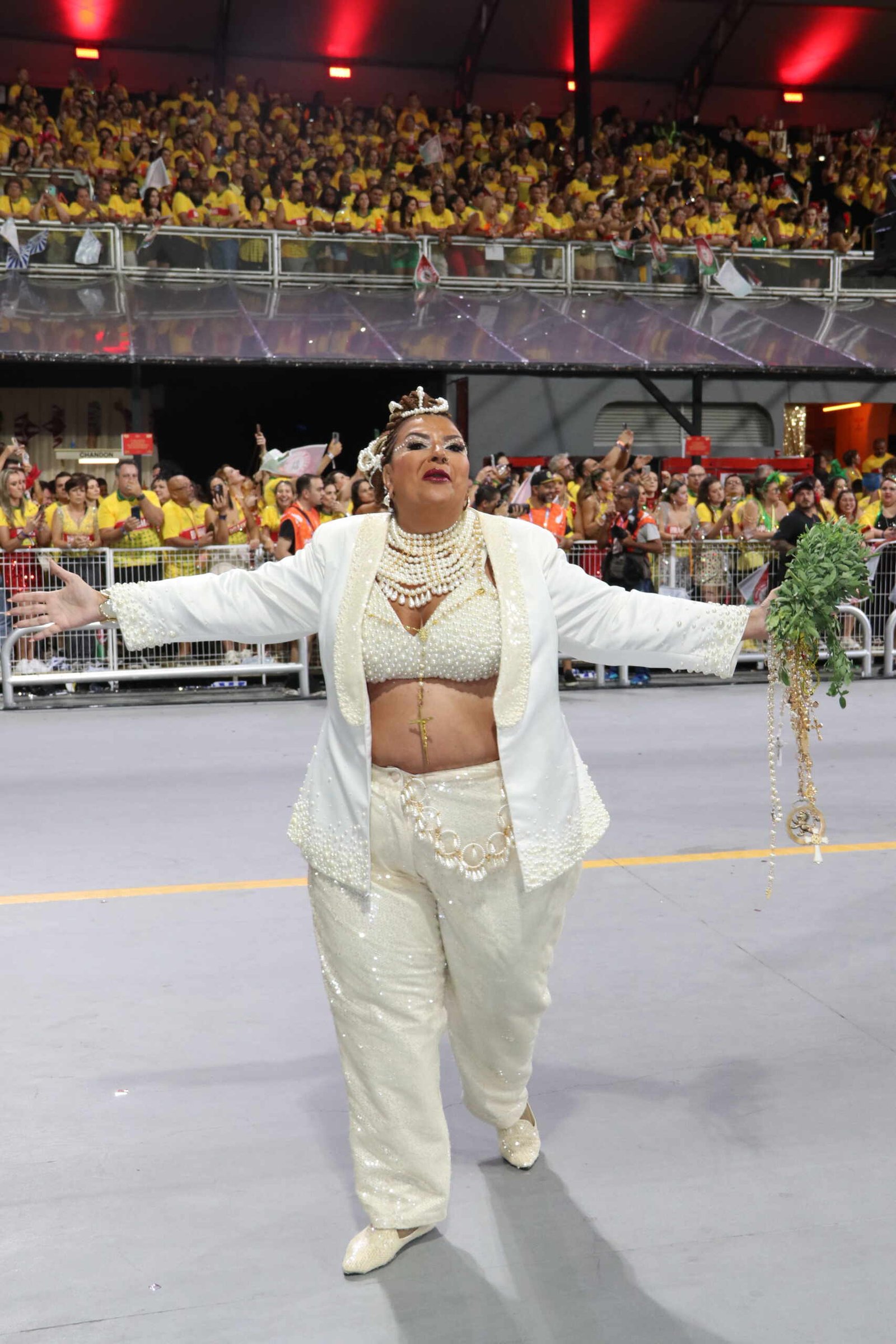 Desanexadas 849 Mocidade Alegre - Foto: Tiago Ghidotti / EGOBrazil