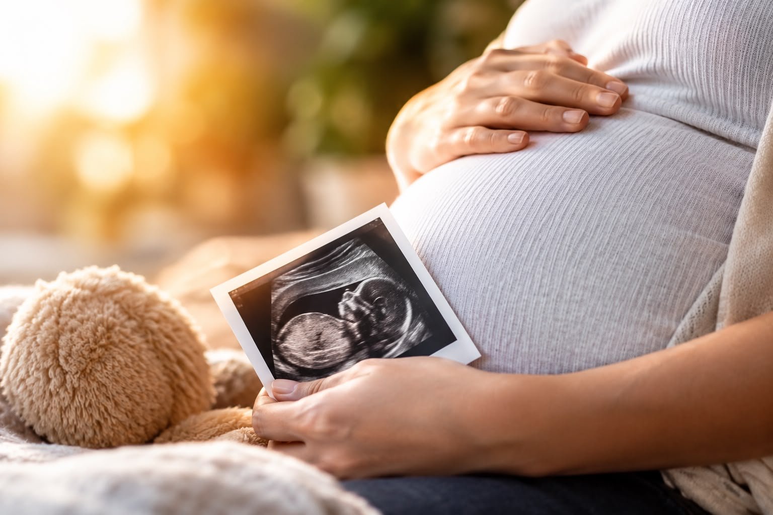 WhatsApp Image 2026-09-20 at 1.16.11 PM